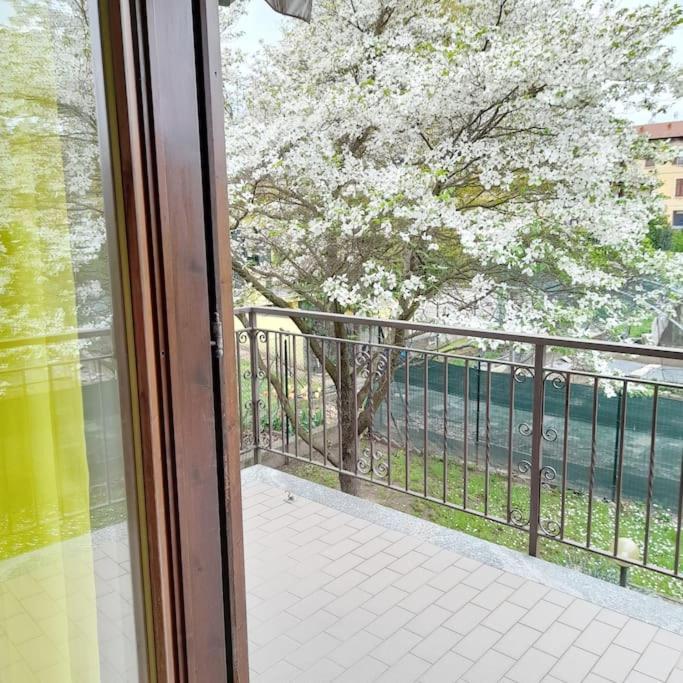 Il Vecchio Kiwi - House With Private Garden Villa Oleggio Castello Dış mekan fotoğraf