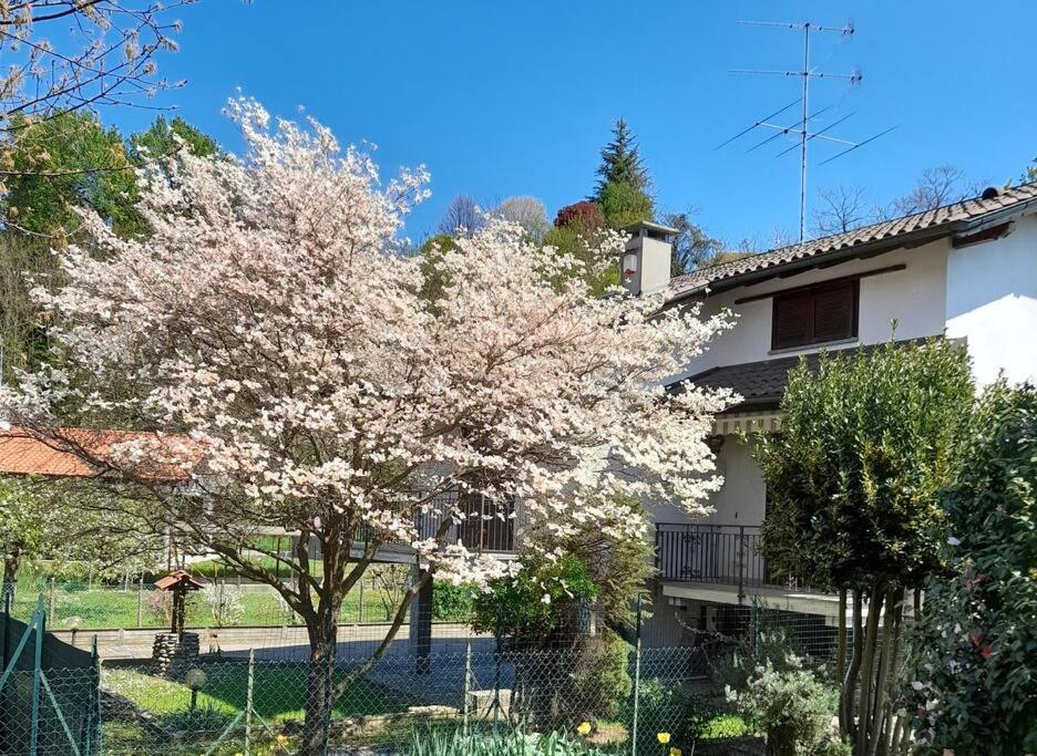 Il Vecchio Kiwi - House With Private Garden Villa Oleggio Castello Dış mekan fotoğraf